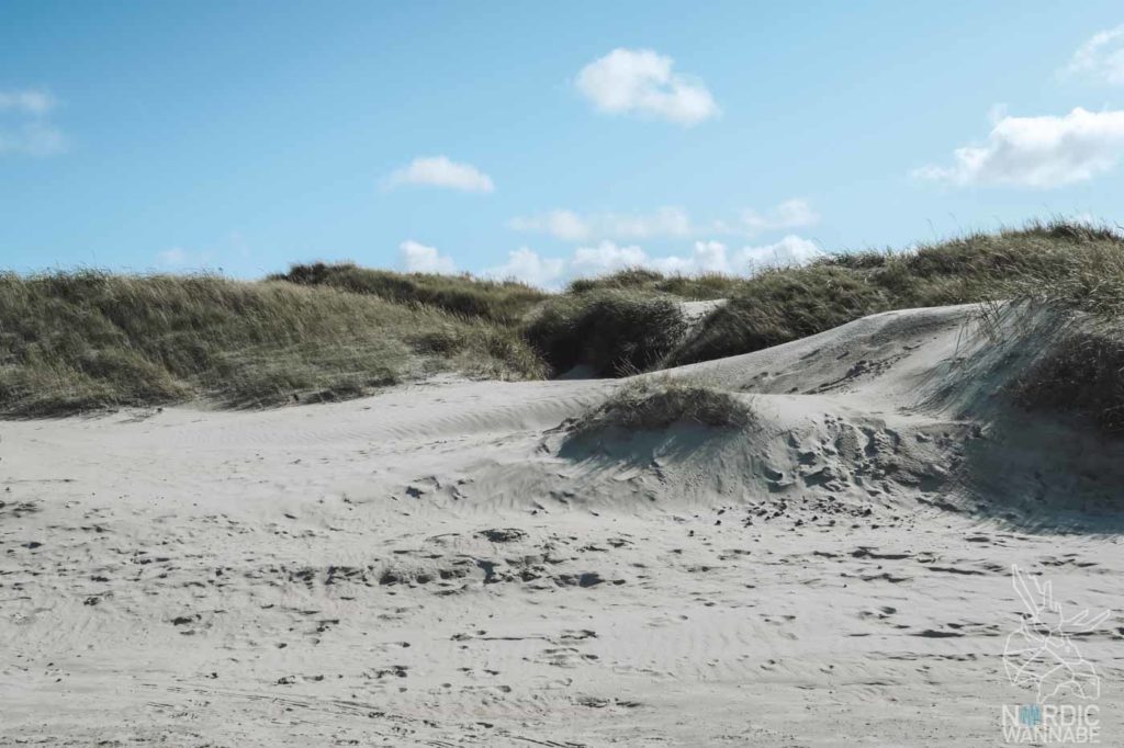 Rømø, Ribe, Vejers Strand Camping, dänische Nordsee Insel, Dänemark, Camping