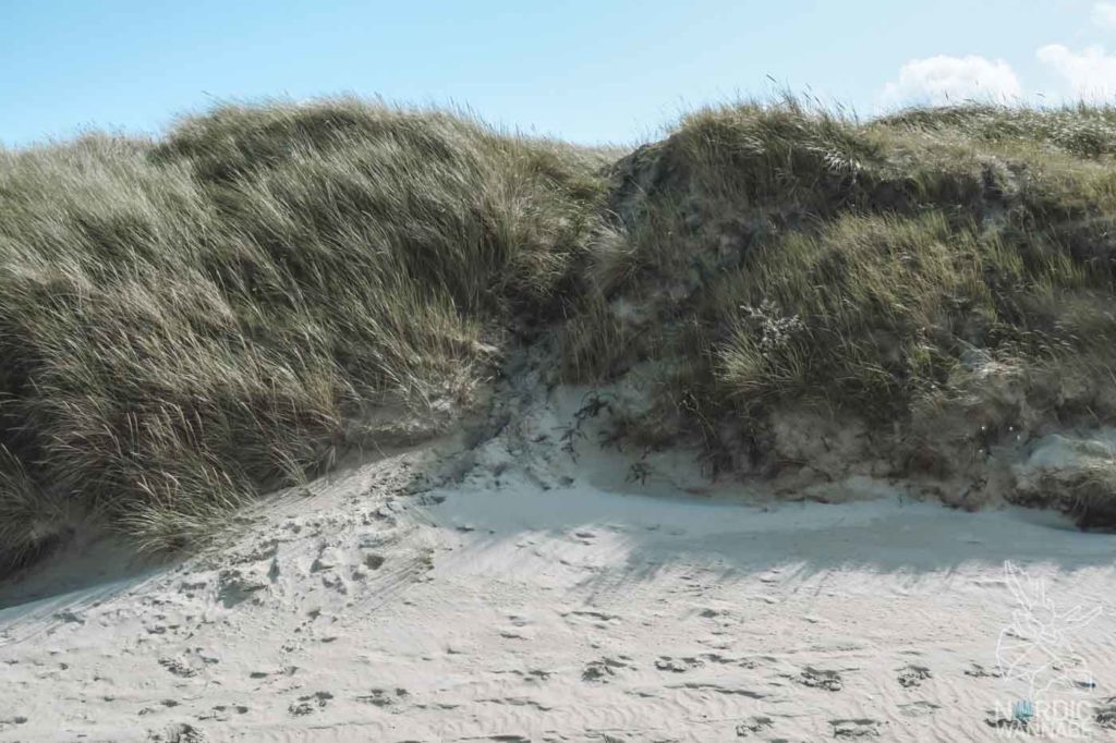 Rømø, Ribe, Vejers Strand Camping, dänische Nordsee Insel, Dänemark, Camping