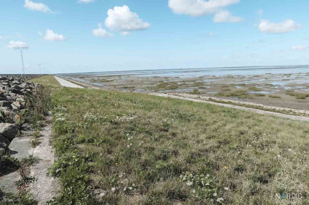 Rømø, Ribe, Vejers Strand Camping, dänische Nordsee Insel, Dänemark, Camping