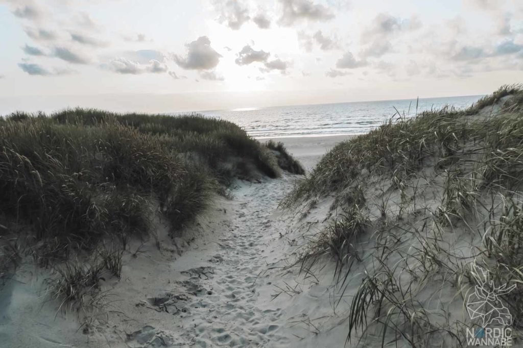 Rømø, Ribe, Vejers Strand Camping, dänische Nordsee Insel, Dänemark, Camping