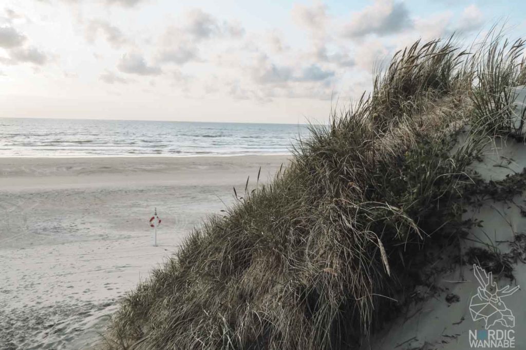 Rømø, Ribe, Vejers Strand Camping, dänische Nordsee Insel, Dänemark, Camping