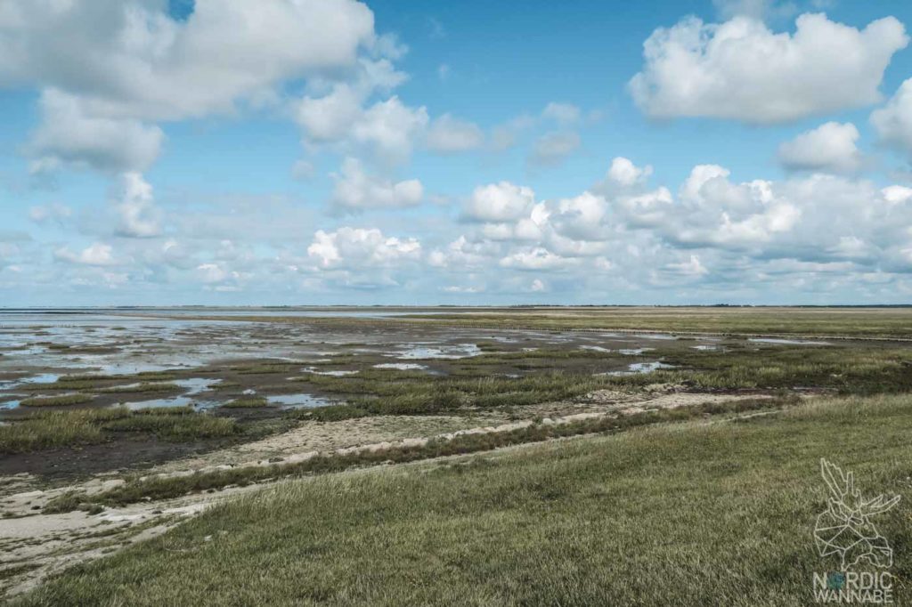 Rømø, Ribe, Vejers Strand Camping, dänische Nordsee Insel, Dänemark, Camping