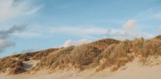 Rømø, Ribe, Vejers Strand Camping, dänische Nordsee Insel, Dänemark, Camping