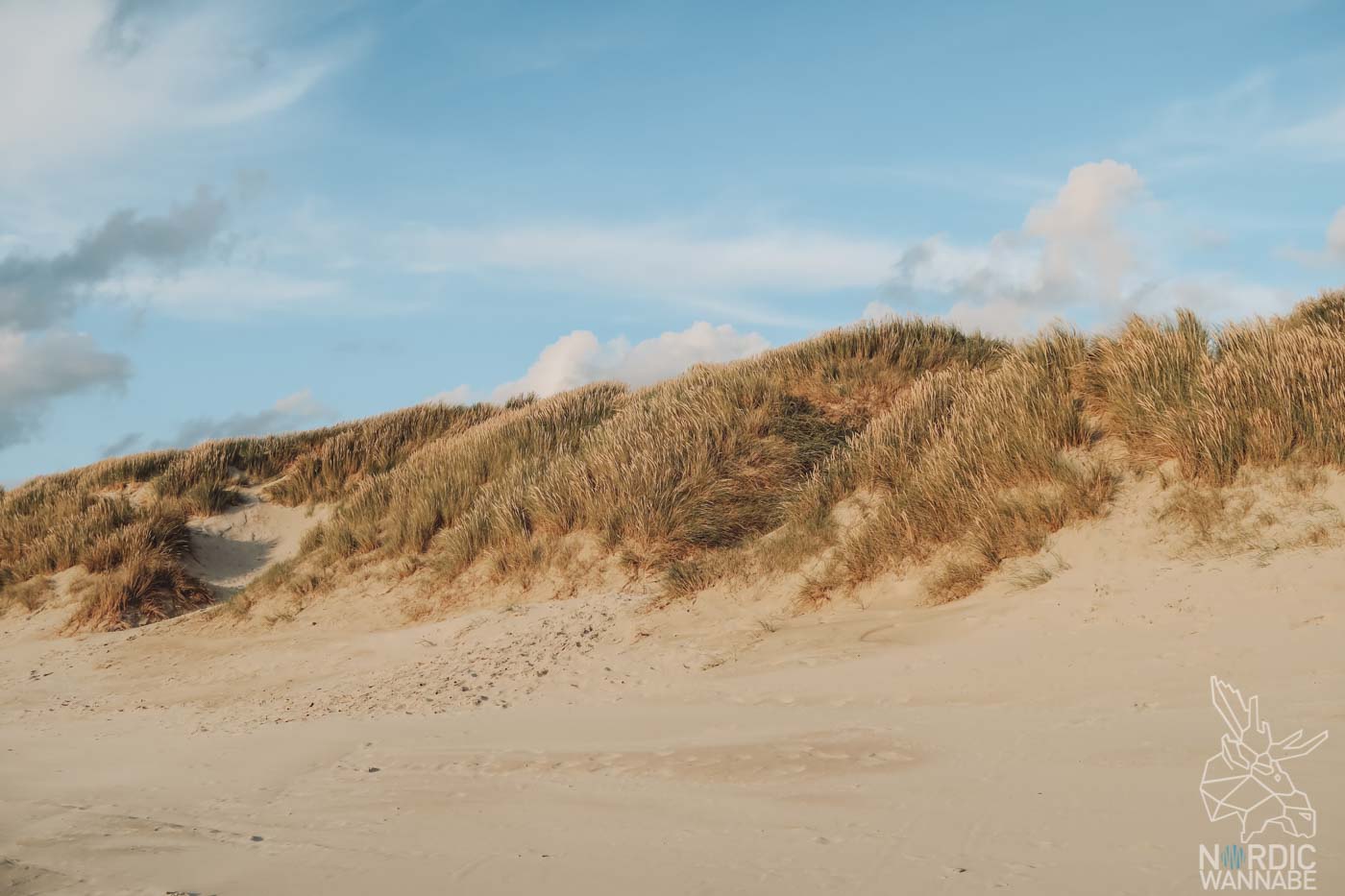 Rømø, Ribe, Vejers Strand Camping, dänische Nordsee Insel, Dänemark, Camping
