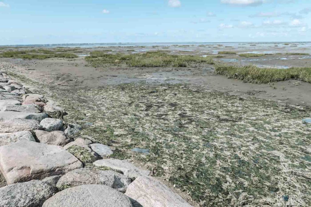 Rømø, Ribe, Vejers Strand Camping, dänische Nordsee Insel, Dänemark, Camping