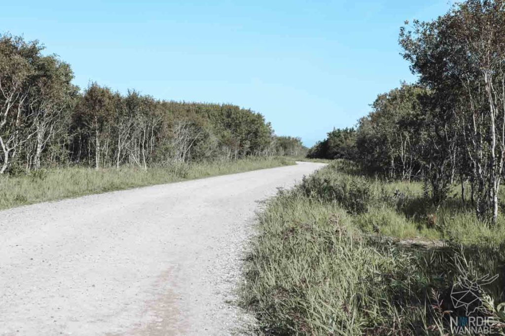 Nordjütland, Rubjerg Knude Fyr, Leuchtturm Dänemark, Skagen, Dänemark
