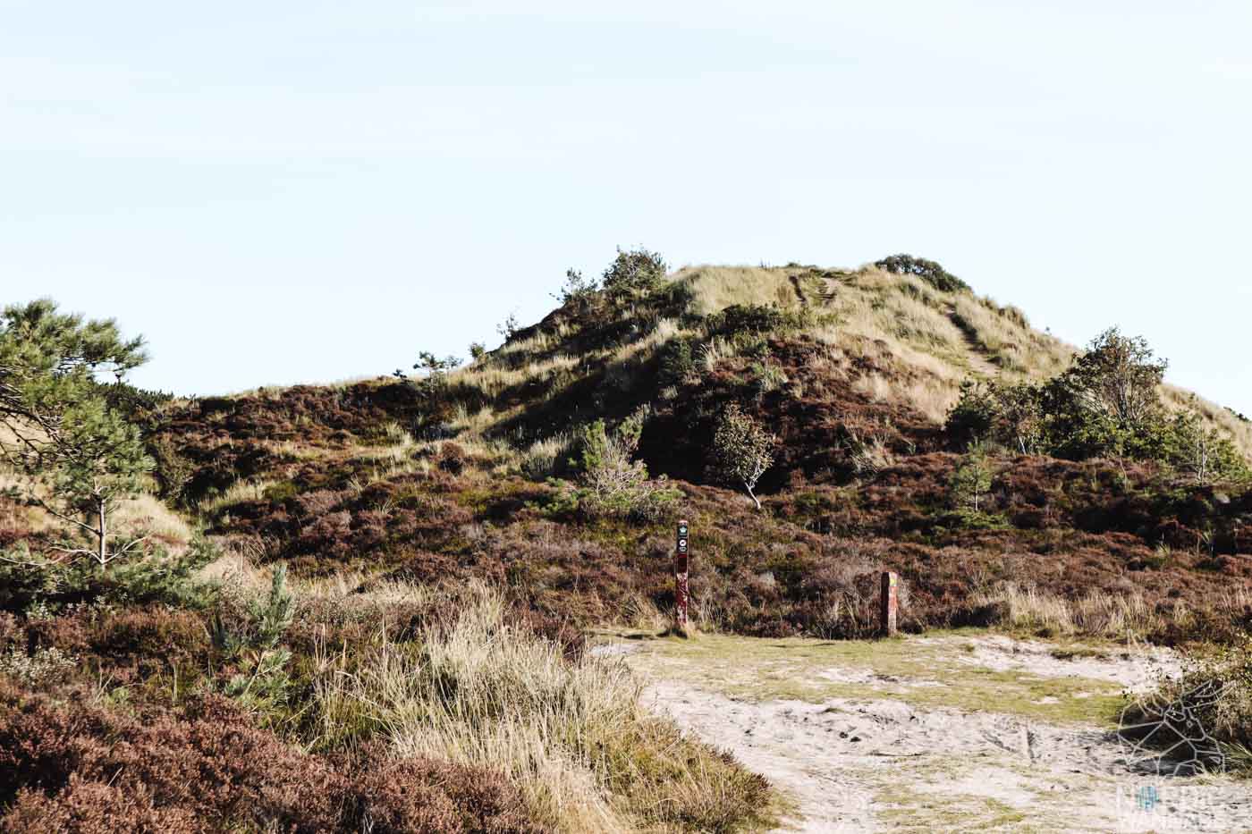 Danemark, Dänemark Blog, Römö, Sehenswürdigkeiten, Reise, Dänische Nordseeinsel