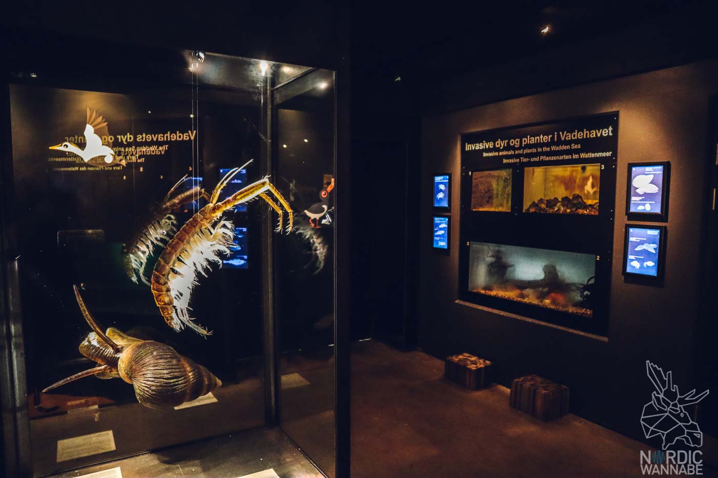 Esbjerg, Dänemark, Süddänemark, Südjütland, Marine und Fischerei Museum