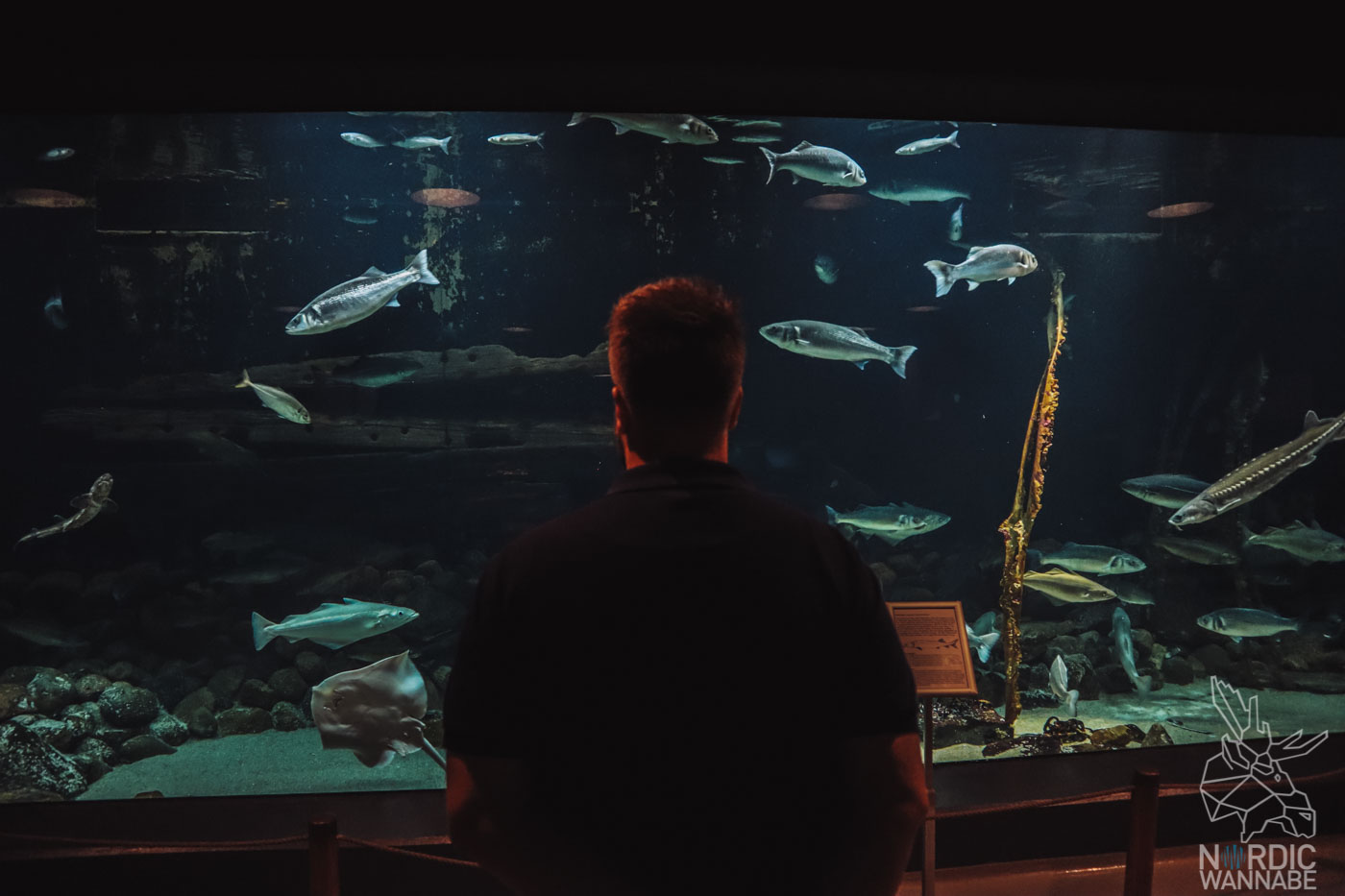 Esbjerg, Dänemark, Süddänemark, Südjütland, Marine und Fischerei Museum