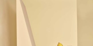 NJRD Kollektion, Neu, Skandi Design, Prinz Carl Philip von Schweden und Oscar Kylberg, Bernadotte und Kylberg