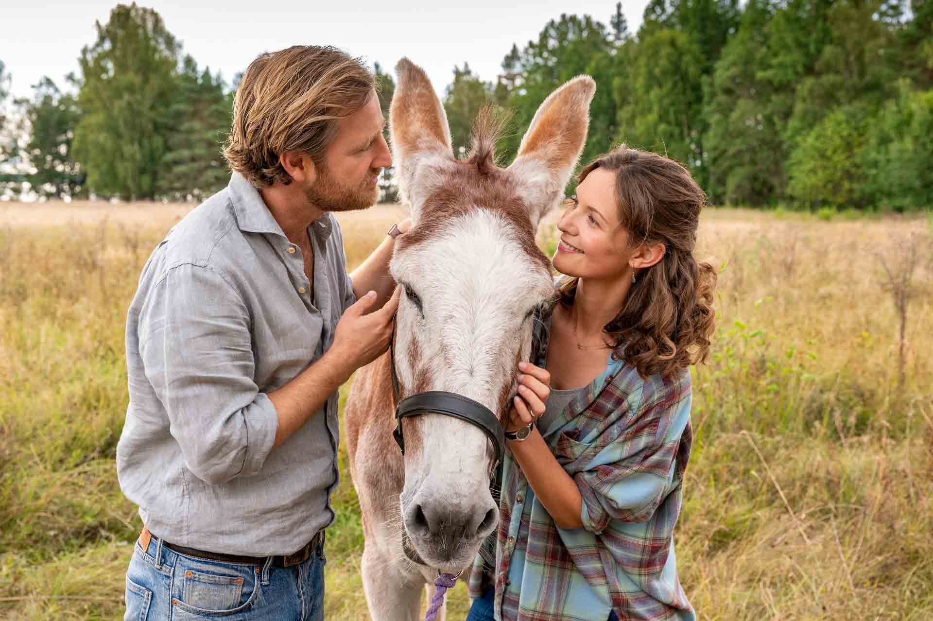 Inga Lindström Film Geliebter Sven, Schweden Film