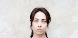 Kommissarin Lund Staffel 1, Staffel 2, und Staffel 3, Nordic Noir