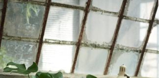 Urban Jungle, Einrichtung