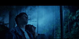 Schwedische Horrorserie, Cryptid