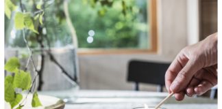 Duft der skandinavischen Wälder