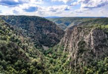 Der Harz und die Dänen Harz und die Dänen